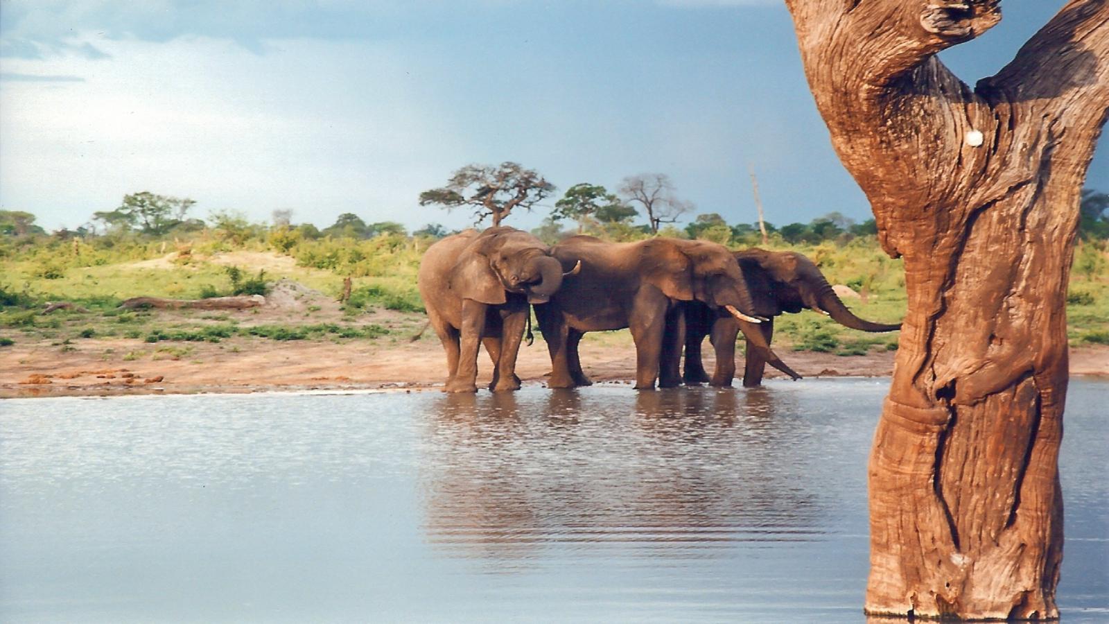 10 Days Zimbabwe Safari Adventure